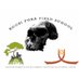 Koobi Fora Fldschl (@koobiforafs) Twitter profile photo Koobi Fora Fldschl (@koobiforafs) Twitter profile photo