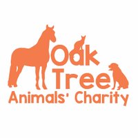 Oak Tree Animals' Charity(@oaktreeanimals) 's Twitter Profile Photo