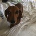 Annie Good (@mrsgoodgps) Twitter profile photo Annie Good (@mrsgoodgps) Twitter profile photo