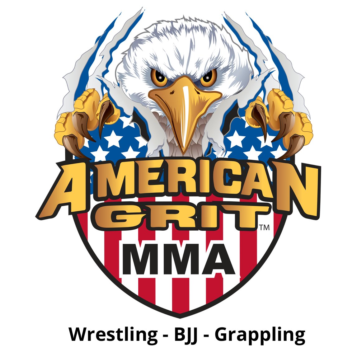 American Grit MMA