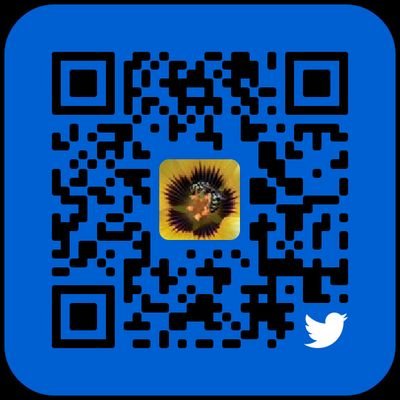 painDpices's profile picture. 