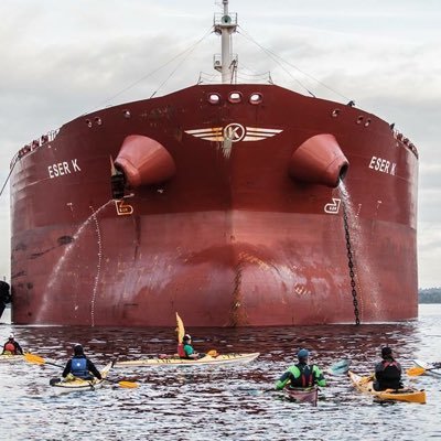 We are a collective of kayaktivists ready to defend the Salish Sea #KeepItInTheGround is our battle cry