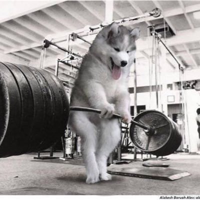 mrbig3_'s profile picture. 男尊女卑のフェミニスト。休日を利用して皇居周りを外国人観光客にガイドしています。DMは仕事関係だけ返します！大切な人おるから女絡みいらん/レペゼン地球/小室圭/ゆたぼん/ナオトインティライミ/ゆゆうた