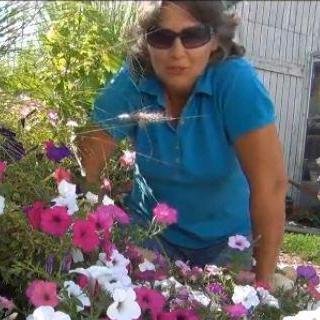 DianeMumm's profile picture. Gardening❤️ -Since 1999, Sharing My Love for all things Nature through video and photos .  📹 We now specialize in growing from seed to help others grow. 👩‍🌾👨‍🌾