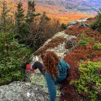 Megan Perkins (@megangetsreal) 's Twitter Profile