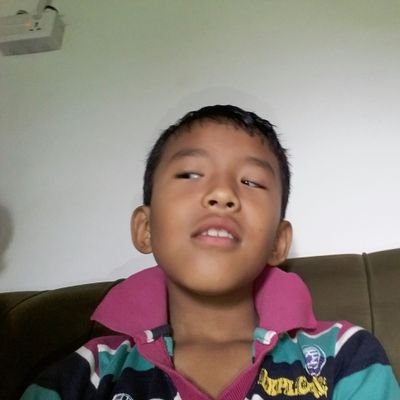 pralils's profile picture. lily