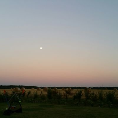 Anaulou's profile picture. 