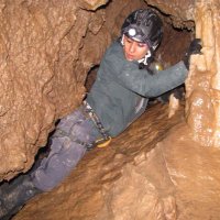 Najmeh Bozorgmehr (@najmeh_tehran) 's Twitter Profile