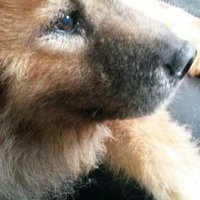 Luz Mery Ugueto (@luzugueto) 's Twitter Profile