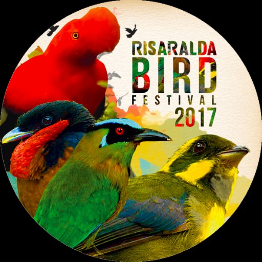 Risaralda Bird Festival 2017 se realizará del 1 al 5 de Febrero en el marco de los 50 años del departamento. https://t.co/sHJSa4WZnp