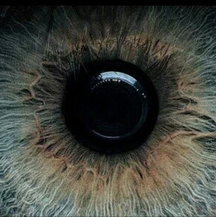 retarrc24's profile picture. live the life you love