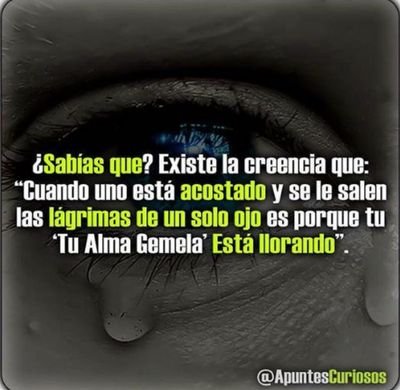 Los mejores Apuntes. Síguenos ♡♧