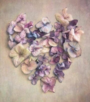 SunshineBay1996's profile picture. 