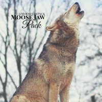 The #MooseJawPack (@moosejawpack) 's Twitter Profile