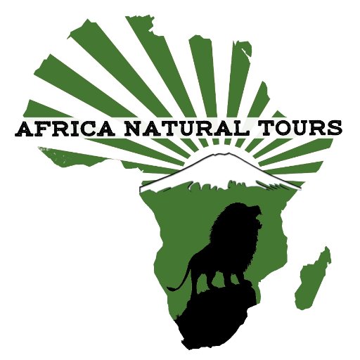 We are offer the best tours: Tanzania Safari, Serengeti Migration Safari, Kilimanjaro Hiking, Mount Meru climbing, Zanzibar beach holiday, and Day trips