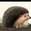 Julia   Cann - @JuliaCann06 - Twitter