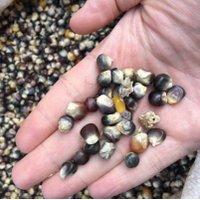 Jagger Harvey (@phlildirector) 's Twitter Profile Photo