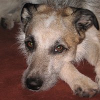 notoco (@notoco5) 's Twitter Profile