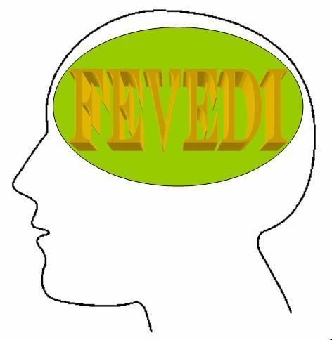 Fevedi's profile picture. Federación Venezolana de Asociaciones y Fundaciones de Personas con Discapacidad Intelectual y sus Familiares (FEVEDI)
E-mail: fevedi@gmail.com