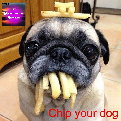 Temporarily closed. Sorry. From April 2016 all dogs in the UK must be microchipped....it's the law.