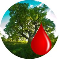 The bleeding tree(@Propertarian11) 's Twitter Profile Photo