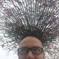 Scott Neal Wilson (@scottnealwilson) 's Twitter Profile