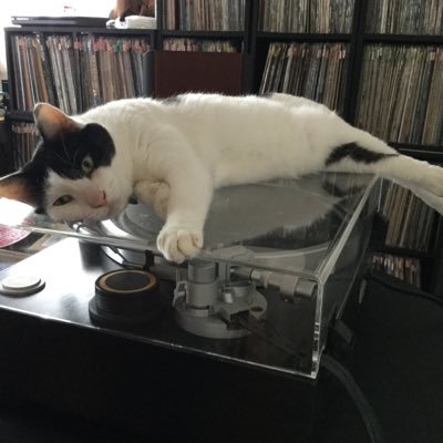 1970年生まれ。音楽好き、野球好き（ドラゴンズファン）、猫好き。帰宅部。どーぞよろしく。