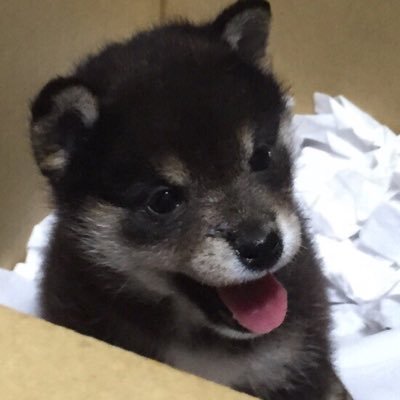 KENSROOMさんのプロフィール画像