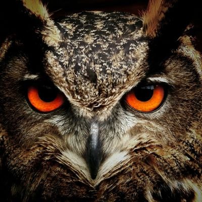 ErimalMartinez's profile picture. no ronque pero tampoco sea tan moca no sea tan callao pero tambn controlate tu boca y te cuidado aquien probocas ....