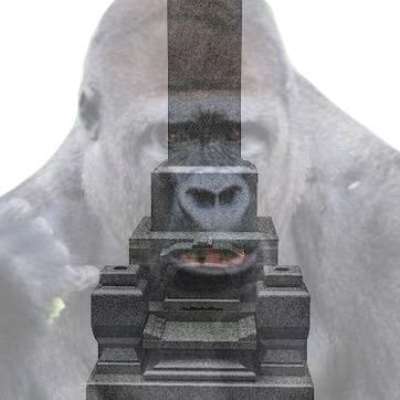 あるふさんのプロフィール画像