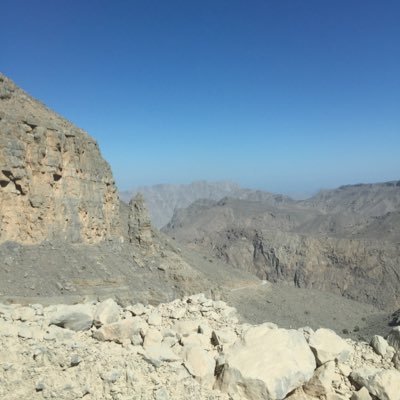 EbruEnhos's profile picture. 