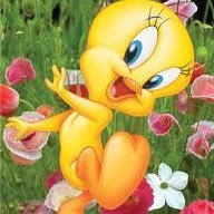 sweetytweetypye's profile picture. Just me & my thoughts. RT's are some one elses