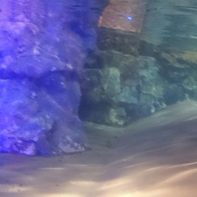 UEvNMmtCR5bhjpH's profile picture. 