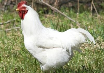 Tobiasj2002's profile picture. https://t.co/Y9x7nCFknE