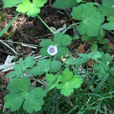 一箱古本市（主に神奈川県）に出没しています。本を読むのは、自分と異なる考えを知ること、新しい世界を獲得すること。文字のない人生は考えられない。好きな本を好きな時に読める時代に生まれたことに感謝。