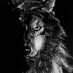 Курилл Яд (@kurill519975) Twitter profile photo Курилл Яд (@kurill519975) Twitter profile photo