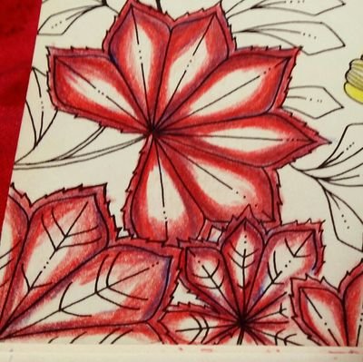 beadofroses's profile picture. infj