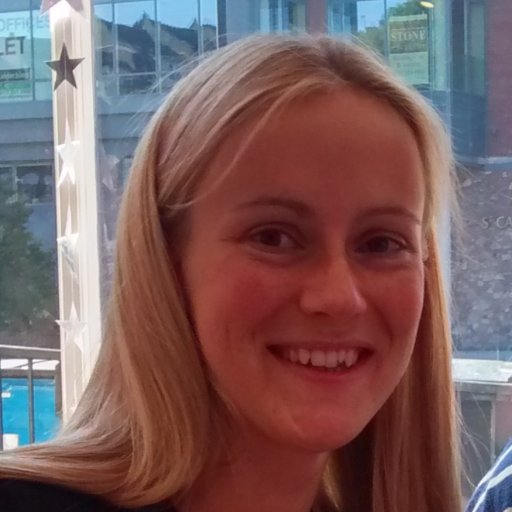Vice Chancellor Research Fellow at Loughborough University, interested in arithmetic strategies, patterning skills and executive functions in mathematics