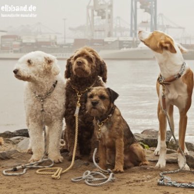 ELBBAND1's profile picture. Für Lebewesen mit Stil Hundeasseccoires & handgemachtes für Jungs & Deerns