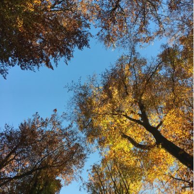 pbuser31's profile picture. 