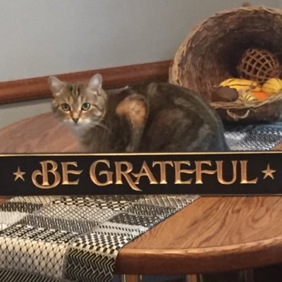 starbluecrystal's profile picture. 