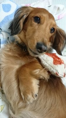 b1je0xsoPwan4Jg's profile picture. 