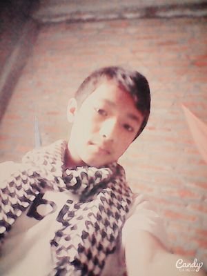 XanjeevR's profile picture. 