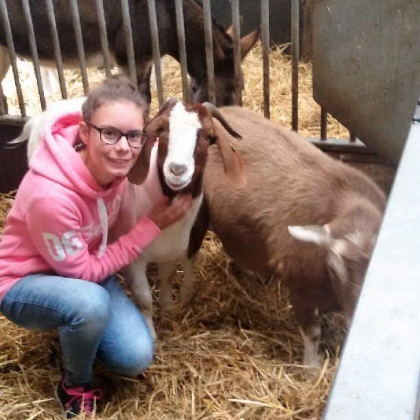 loranxswerink's profile picture. 17 years HollandDirectionerMixer