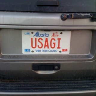 TakeDojoCalgary's profile picture. Taking over the world One Ninja at a time!