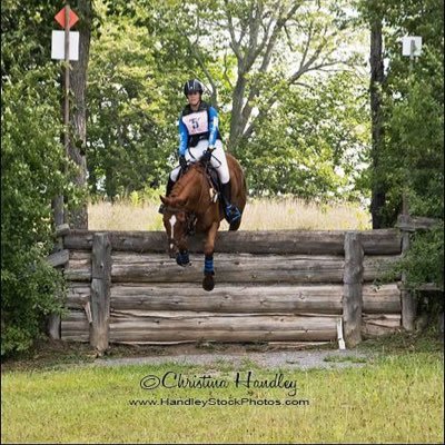 HaloAboveMe's profile picture. Amateur eventer, Phoenix Equestrian Team Member, your average every day horse lover.