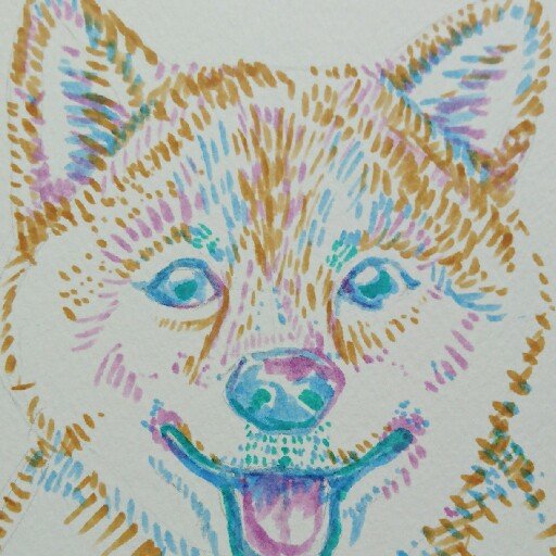 Rokkaさんのプロフィール画像