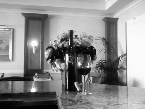 Lover of fine wines and fine food. Future plans....world domination!!!
