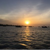 Priya (@priyalloyd) 's Twitter Profile