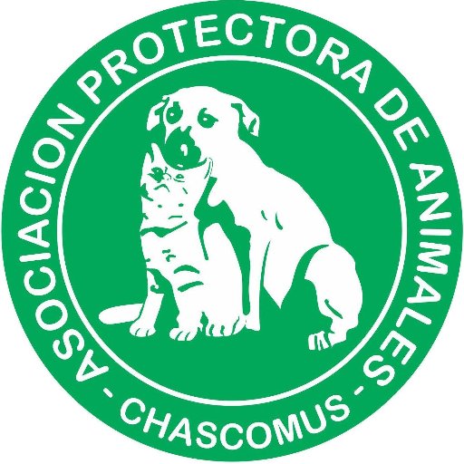 Asoc. Protectora de Animales Chascomús
apach_chascomus@hotmail.com
SOMOS VOLUNTARIOS. No dependemos de ningún organismo municipal.